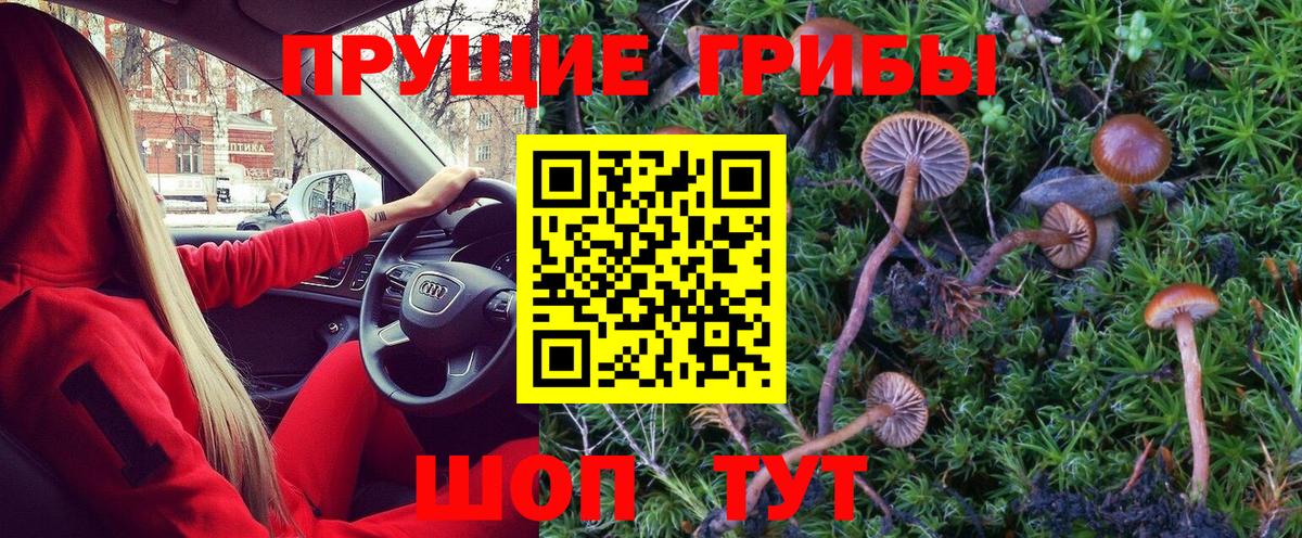 Изобильный  Псилоцибиновые грибы MAGIC MUSHROOMS  Галлюциногенные грибы ЛСД  Вход с VPN 